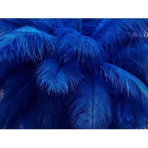 15 Royal Blue Feathers Size 12-14 inch Wedding Party Centerpiece Home Decor
